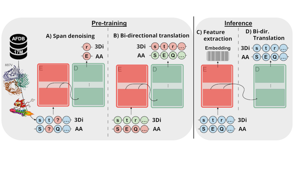 ProstT5 pre-training and inference