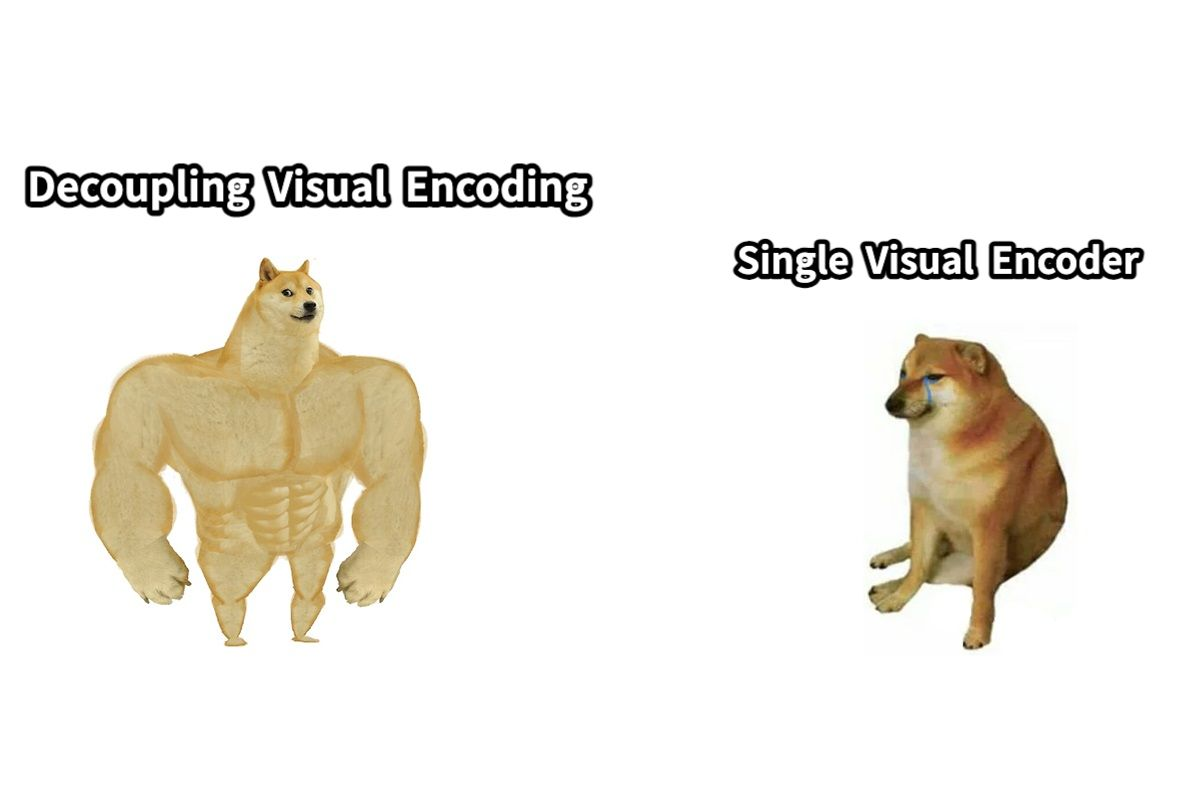 doge.png